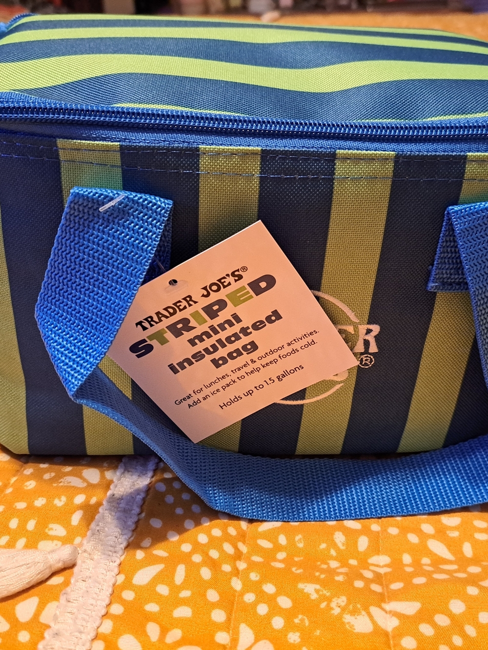 Trader Joe's 2026 newly released Blue and Green Striped Mini Insulated Bag